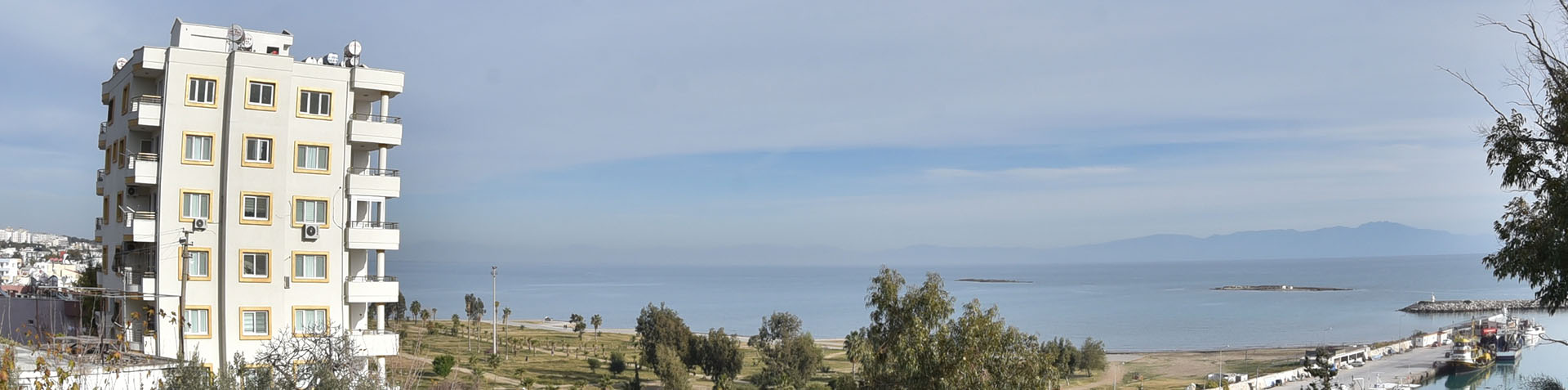 Altin Koza Mimarlık